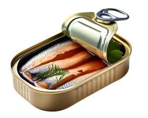 SARDINE/GEISHA