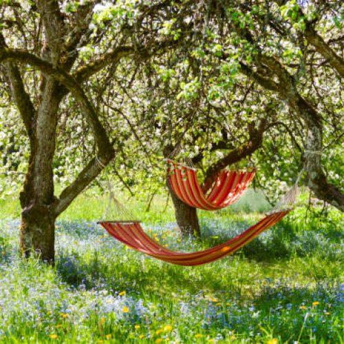 Beautiful landscape with two  red hammocks in the spring garden with blooming apple trees, sunny day. Concept for relaxation, rural tourism. Selective focus
